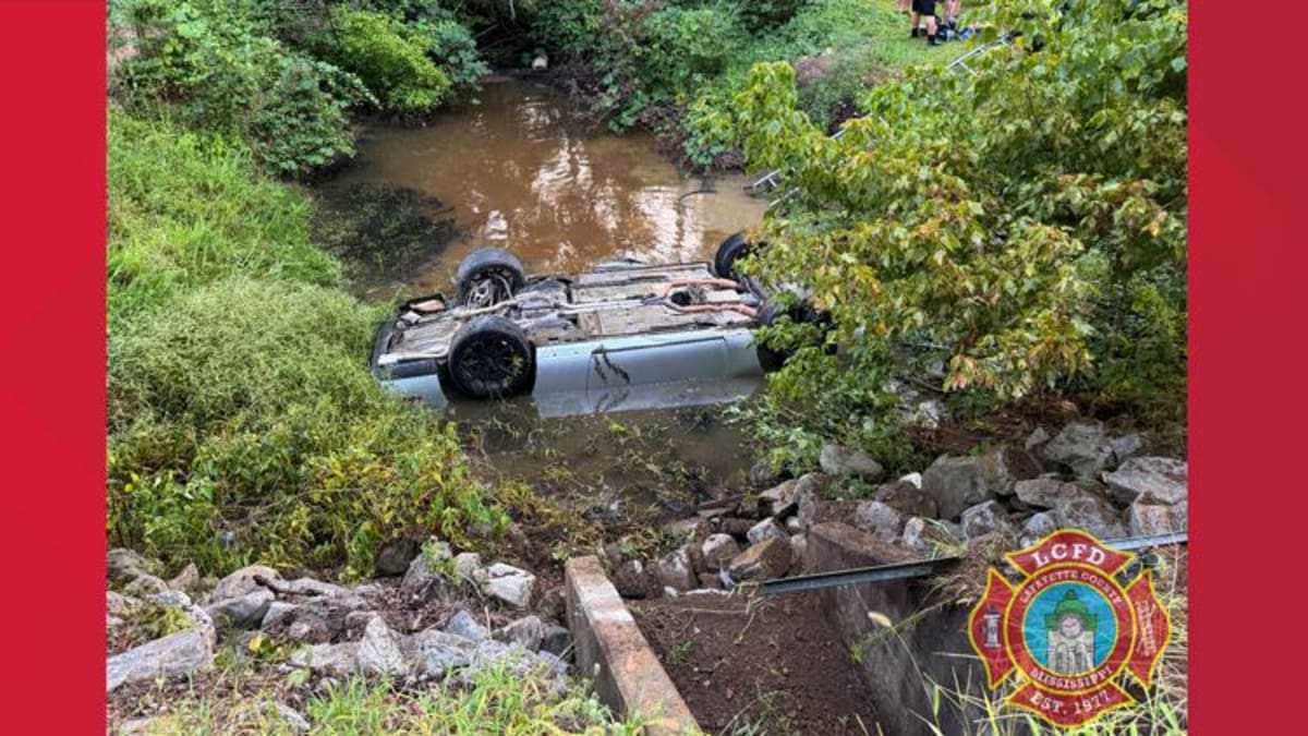 Mississippi Firefighters Save Driver From Submerged Car - Image 3