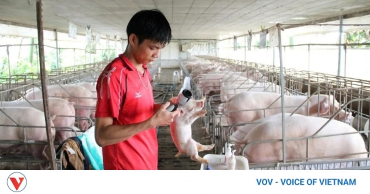 Vietnam Tackles Disease Control for Sustainable Farming