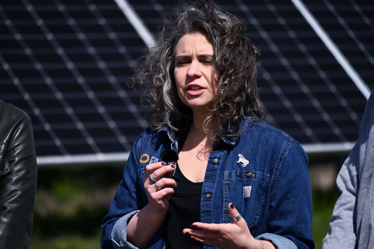 Illinois Sheep Flock 35 Acres of Solar Panels for Pay - Image 4
