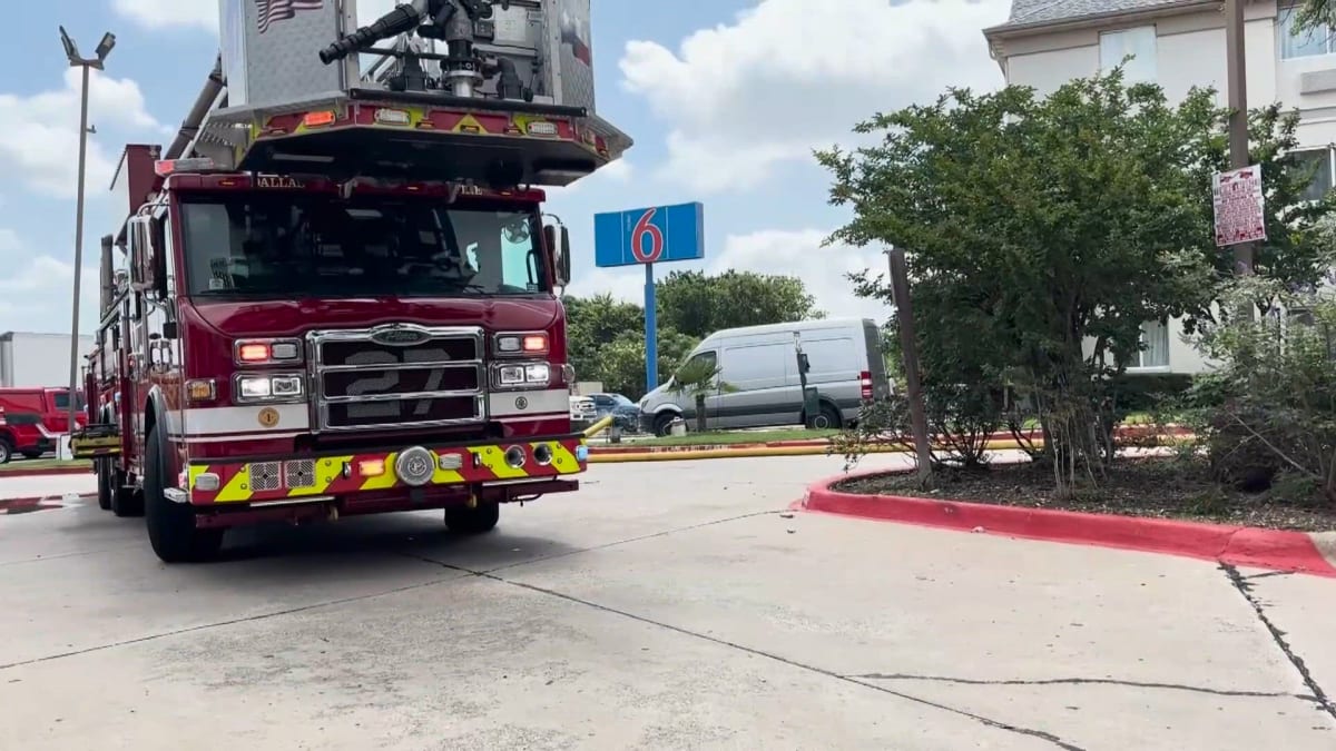 Dallas Firefighters Rescue Dog Stuck on Bridge Pillar - Image 3