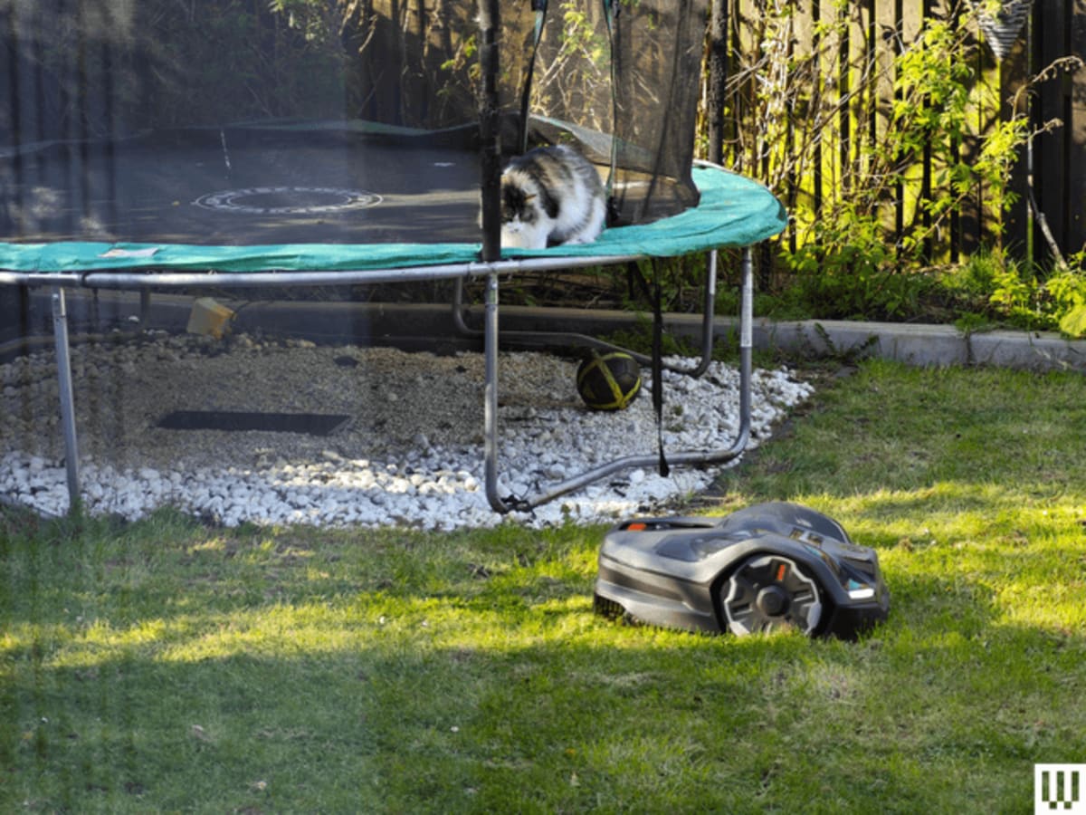 Robot Lawn Mowers Finally Work Like They Should - Image 5