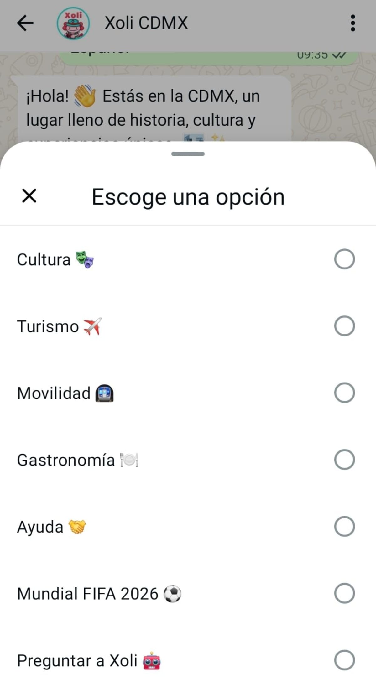 Mexico City's AI Chatbot Helps 2026 World Cup Visitors - Image 2