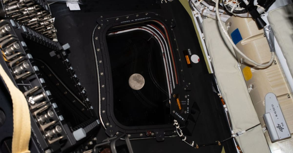 NASA's Artemis II Crew Returns After Record Moon Mission