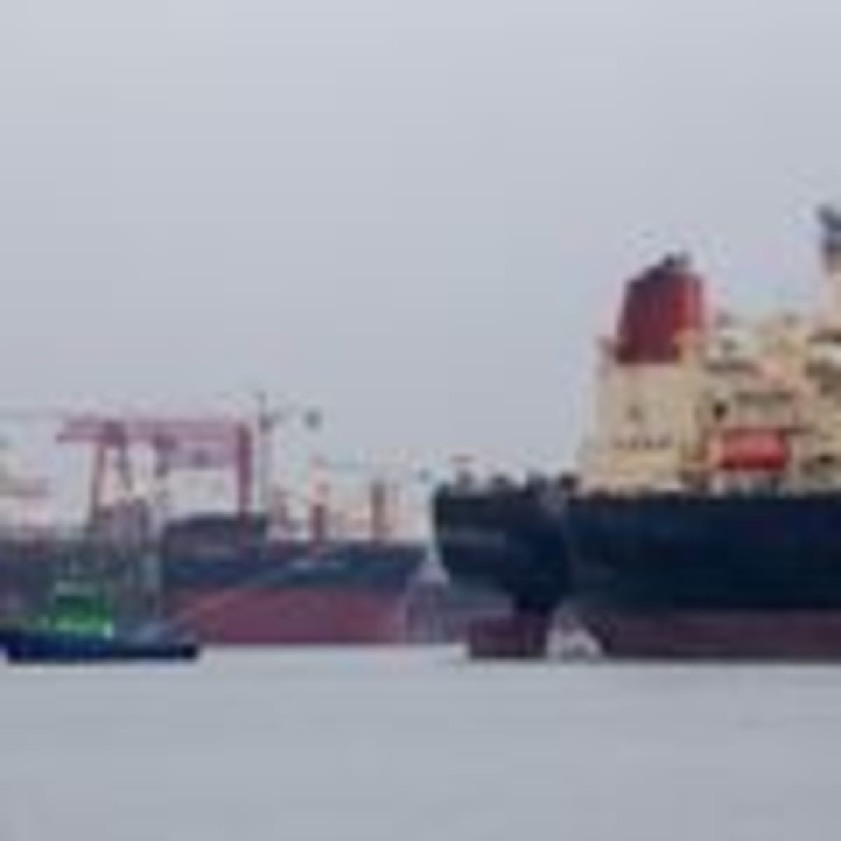 100+ Journalists Rally to Save Internet's Memory Bank - Image 5