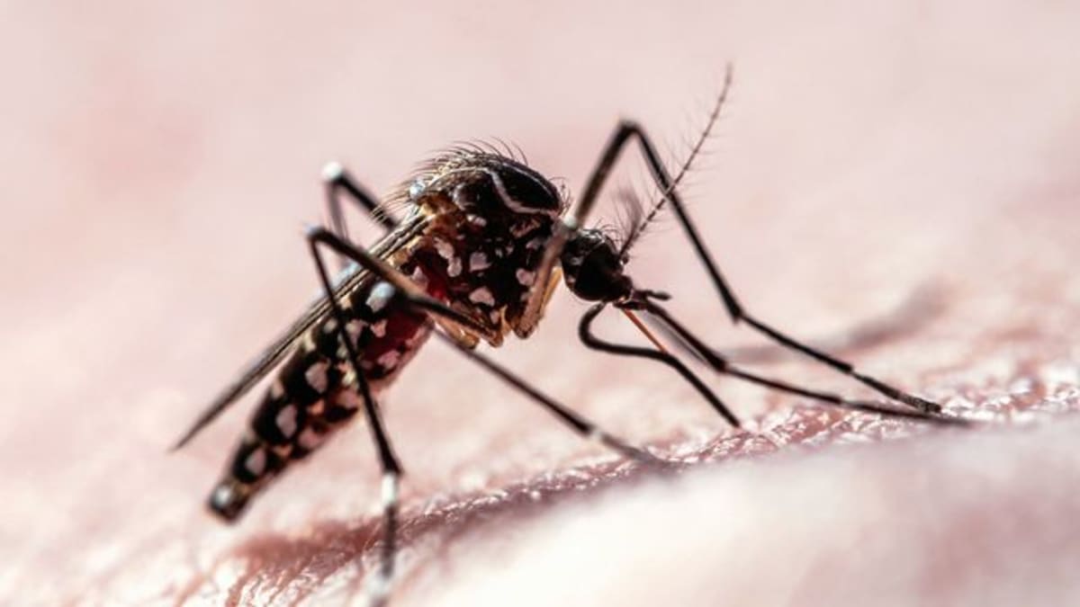 Robot Runs Half Marathon Faster Than Any Human Ever Has - Image 5