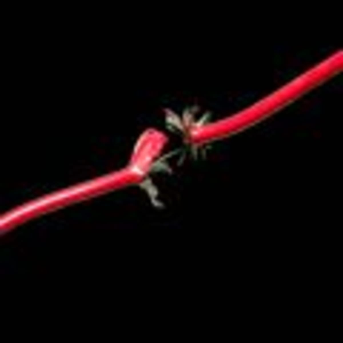 Tech Giants Pledge to Cut Data Center Water Use by 2030 - Image 2