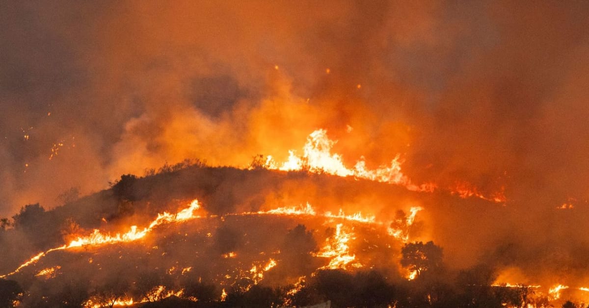 Firefighting drone flying over forest with sensor technology monitoring wildfire conditions in Spain
