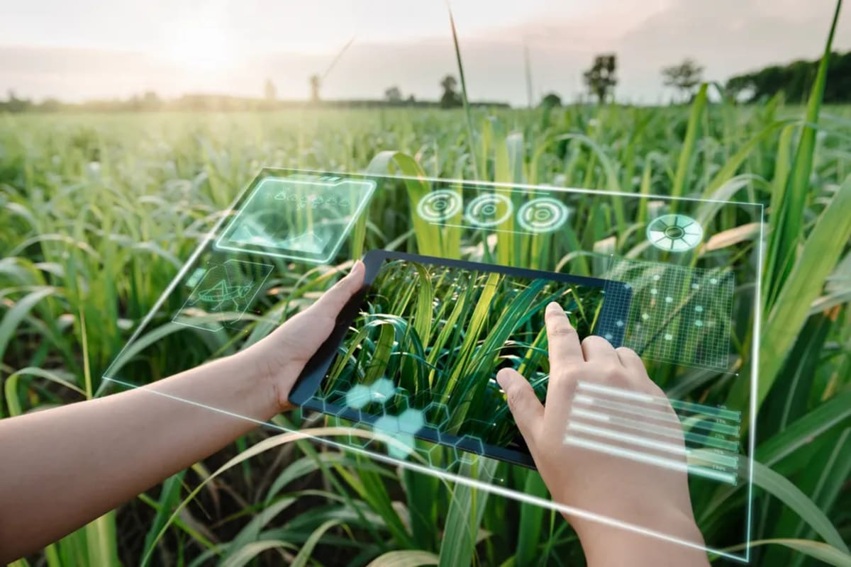 Egypt Startup Brings Smart Farming Tech to Local Growers - Image 2