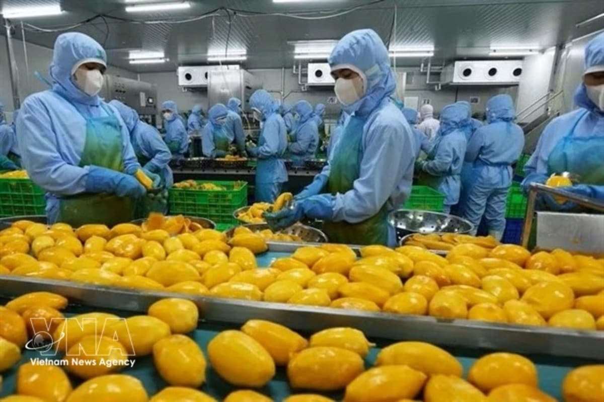 Vietnam's Economy Thrives Despite Global Headwinds