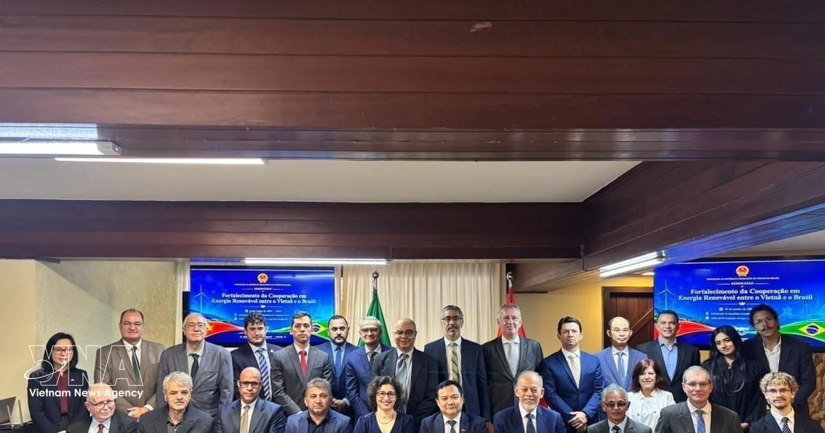 Vietnam and Brazil Partner on Clean Energy and AI Innovation