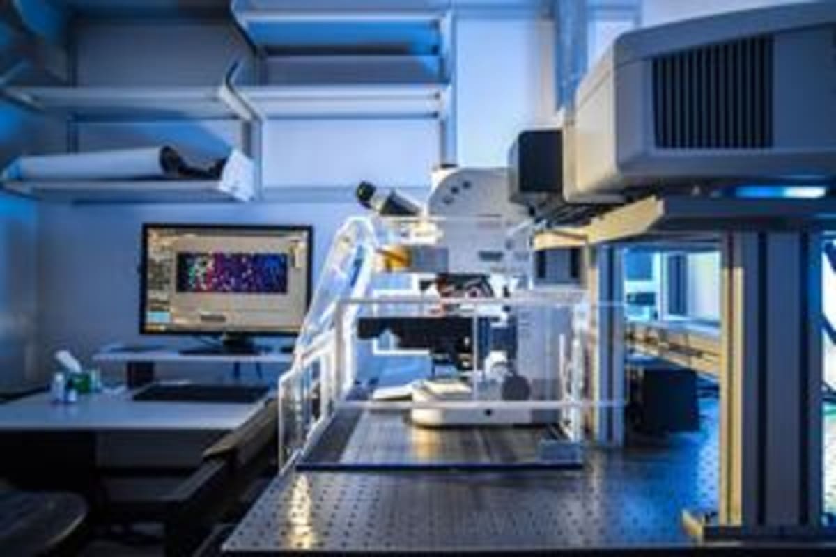 Texas Researchers Find New Path to Treat Rett Syndrome