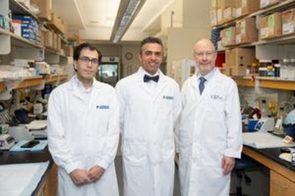 Canada Tests "Poop Pills" to Boost Lung Cancer Treatment