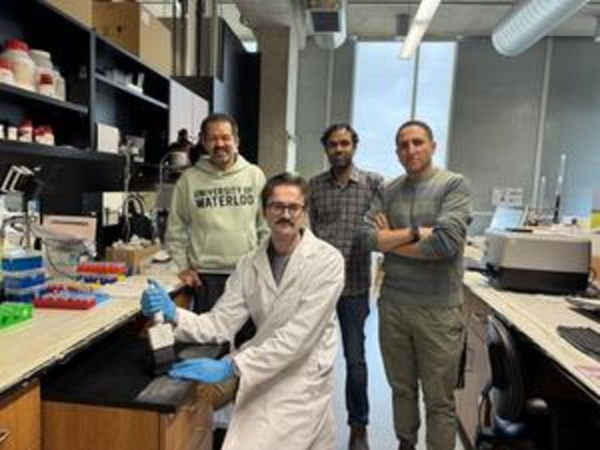 University of Waterloo research team led by Dr. Praveen Nekkar Rao studying Alzheimer's combination therapy