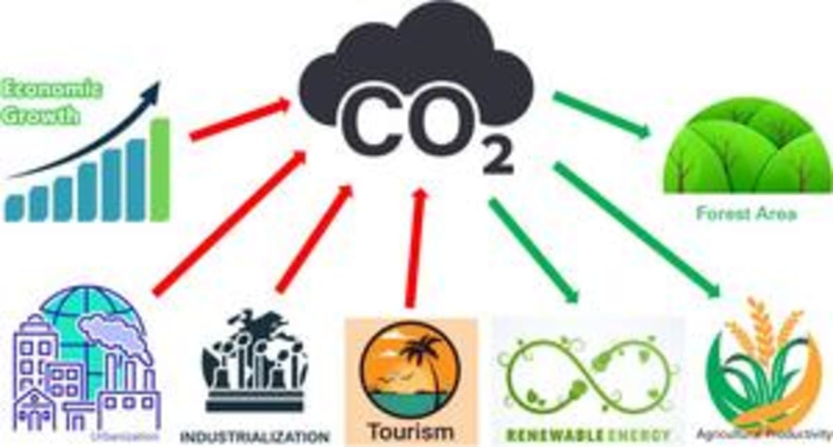 Lush green forest canopy in Turkey capturing carbon dioxide from atmosphere