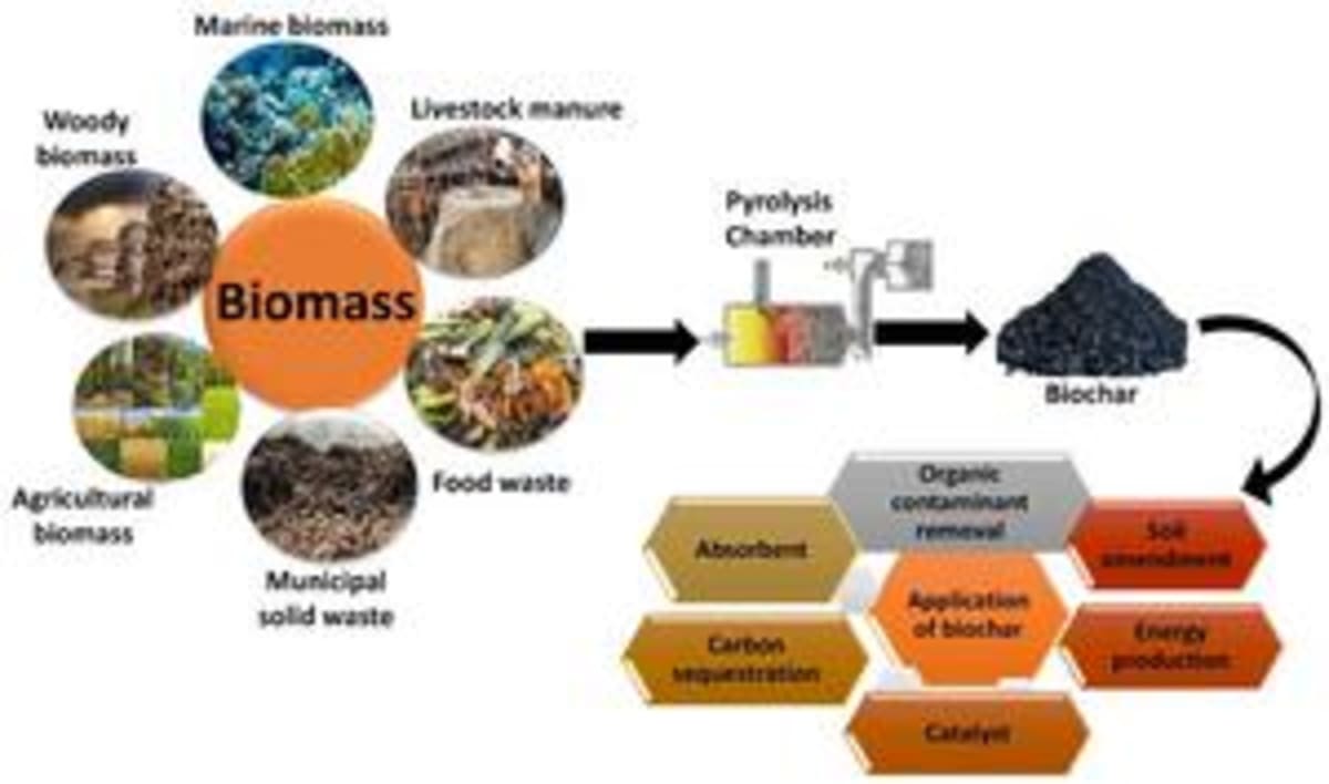 Biochar Locks Carbon in Soil for Thousands of Years