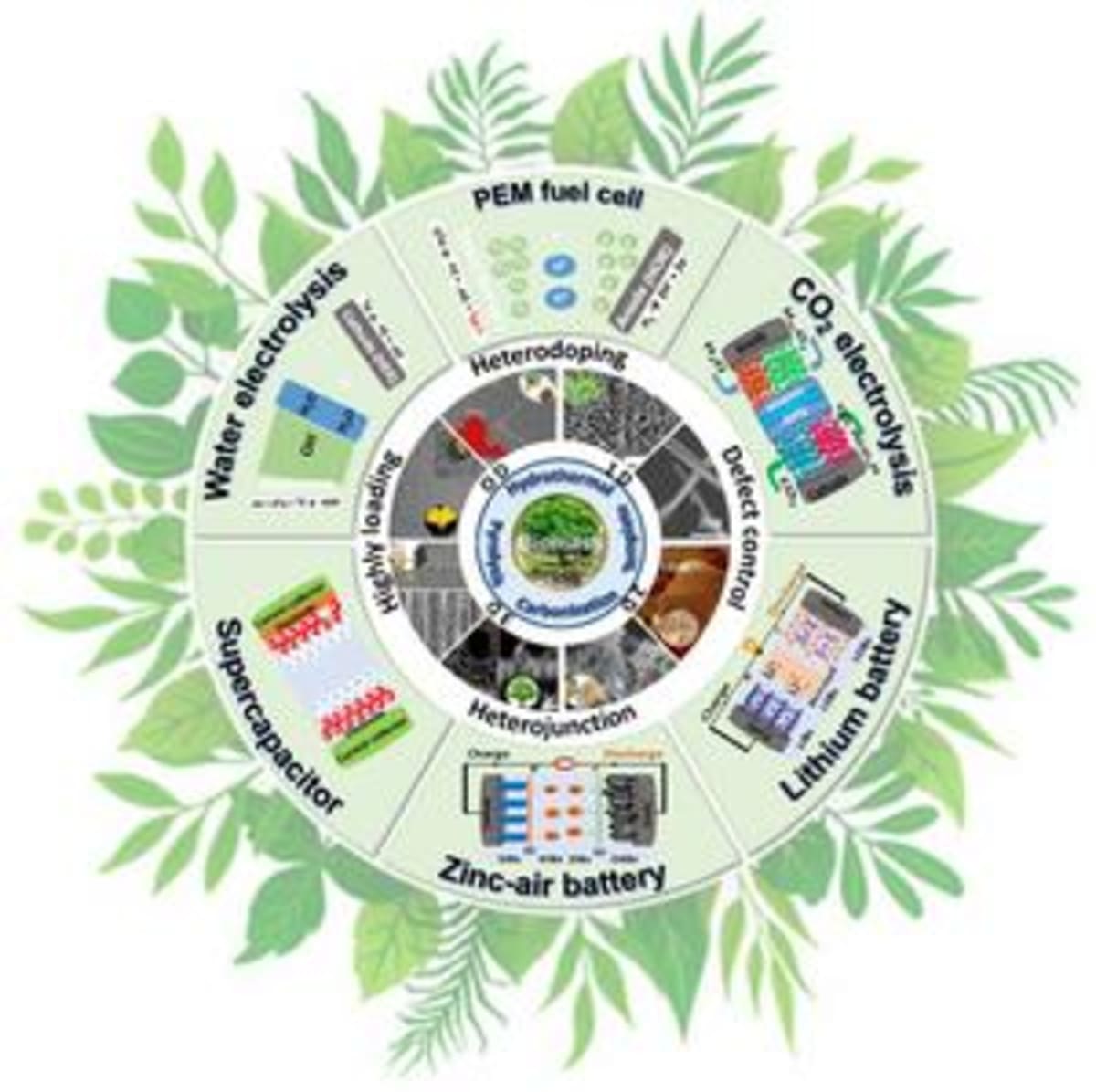 Agricultural waste materials including fruit peels and plant matter transformed into clean energy battery components