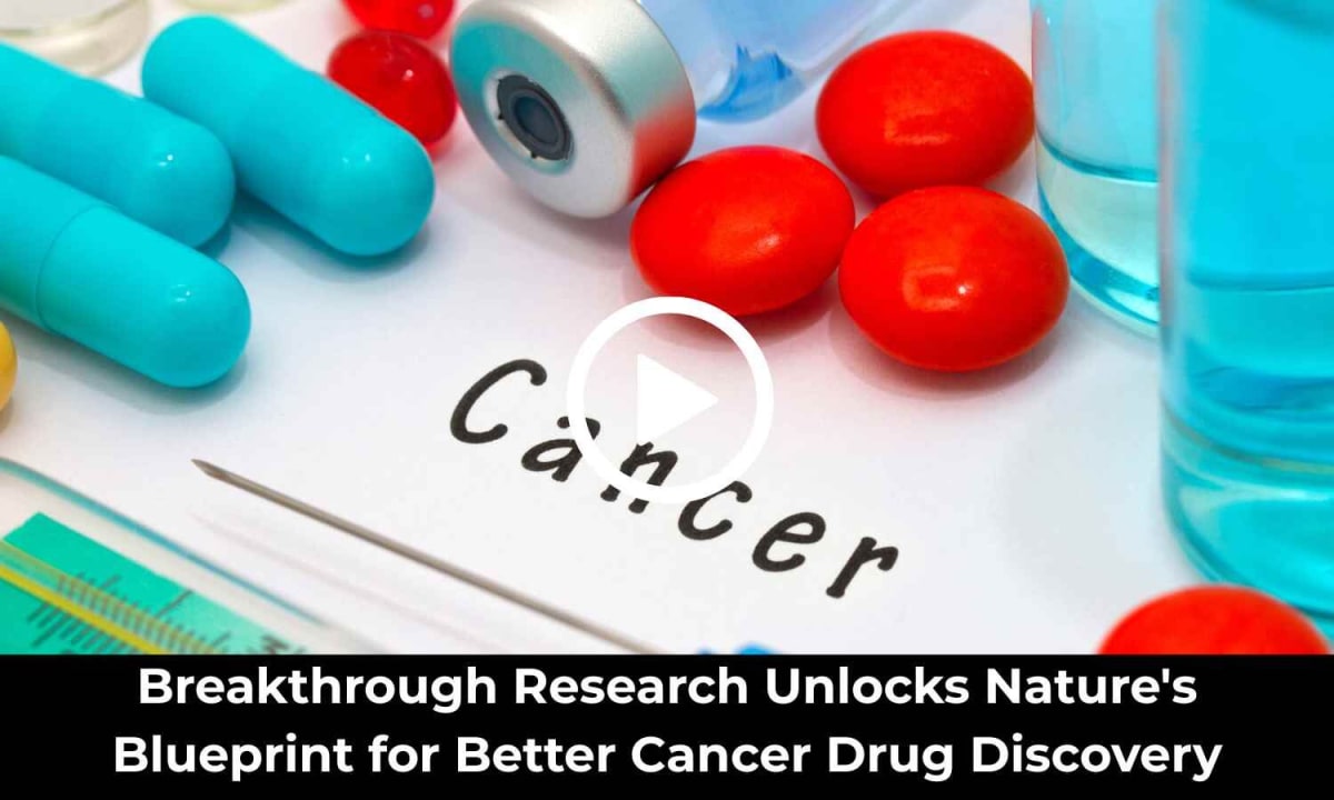 Scientists Crack Code for Better Cancer-Fighting Drugs