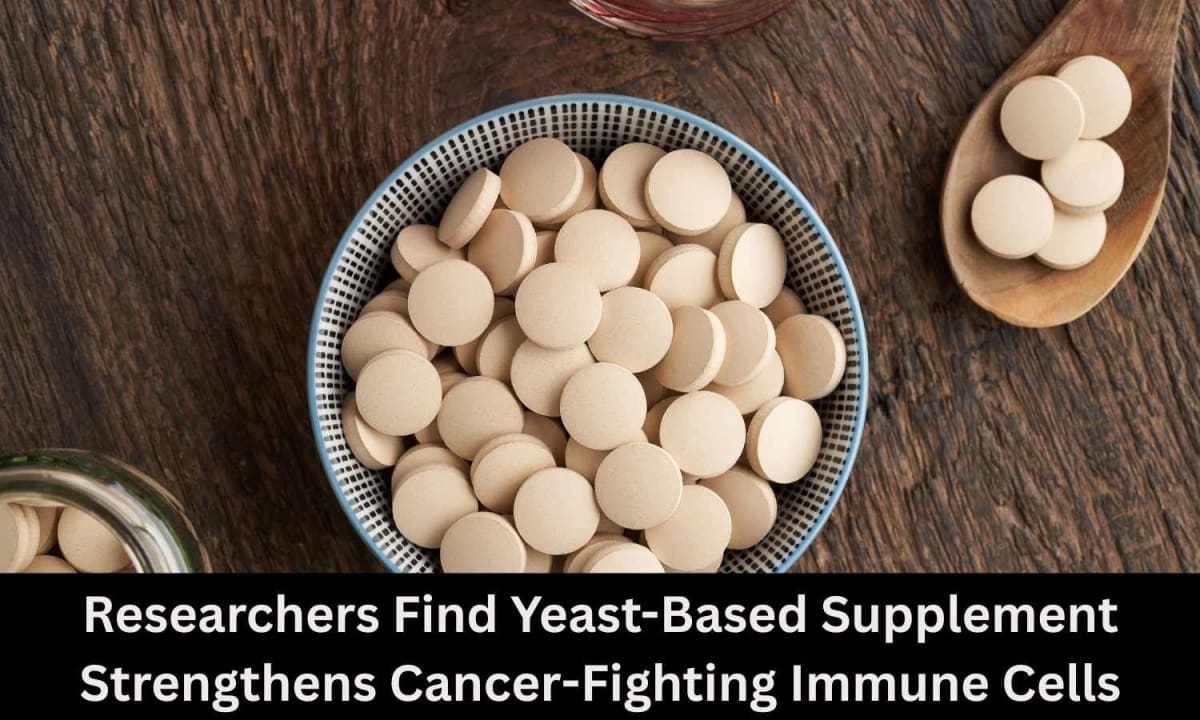 ** Laboratory microscope view of immune cells being strengthened by yeast-based dietary supplement