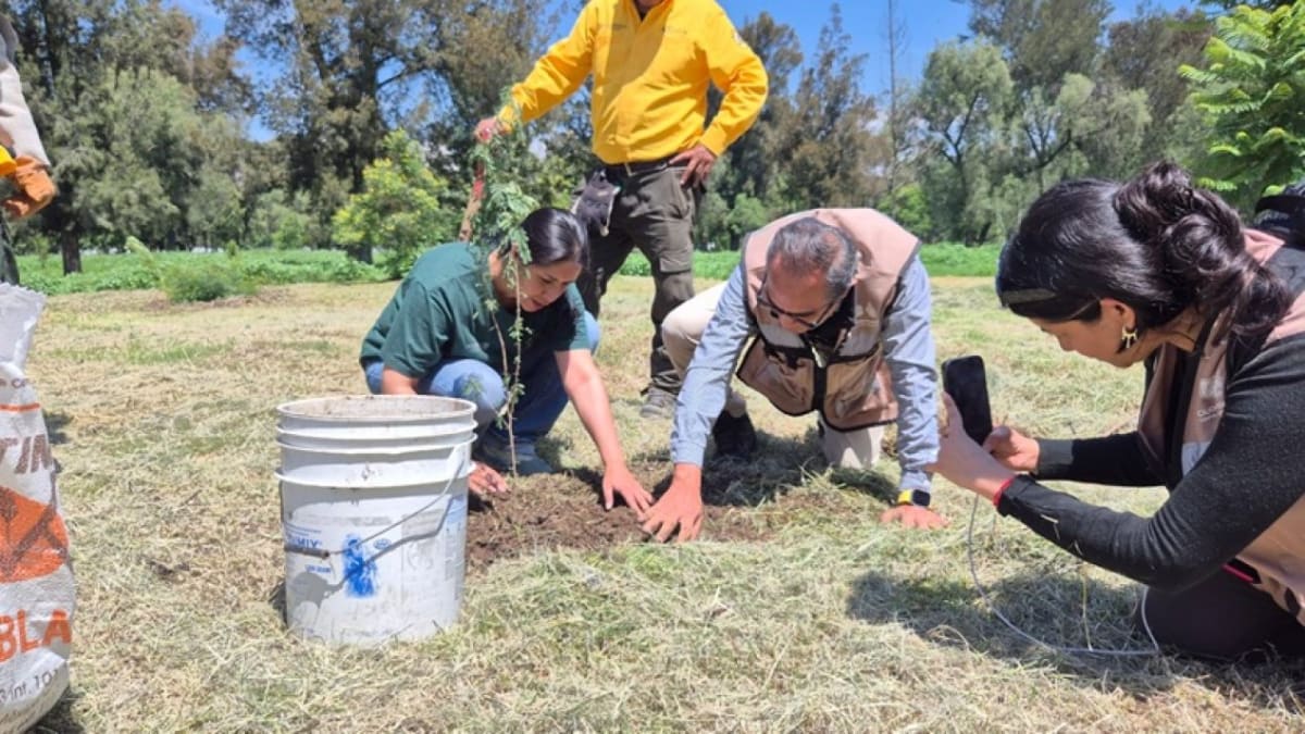 Workers and volunteers planting native trees in Mexico City's San Juan de Aragón Forest