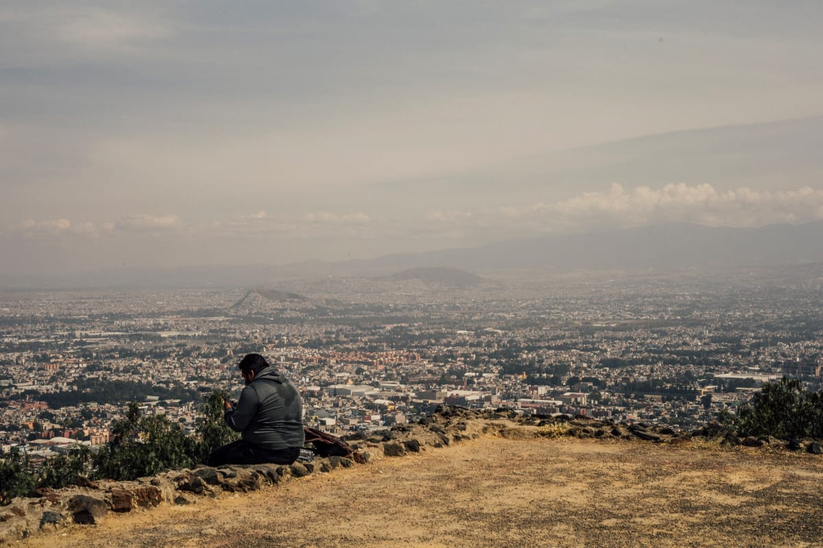 Japanese Forest Method Takes Root in Mexico City - Image 3