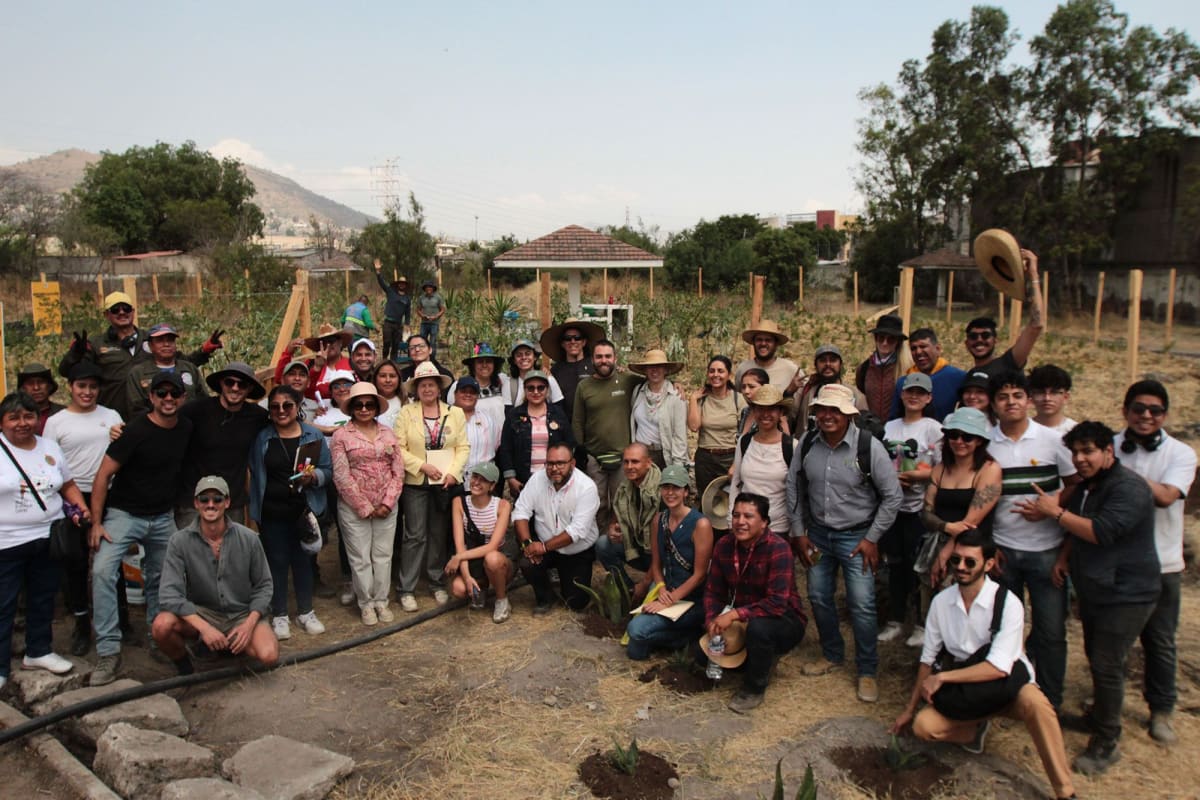 Japanese Forest Method Takes Root in Mexico City - Image 5
