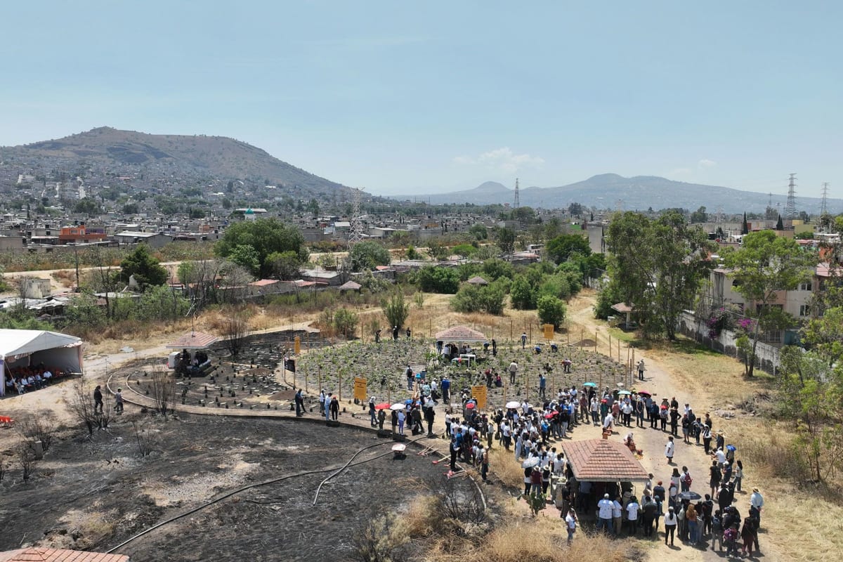 Japanese Forest Method Takes Root in Mexico City - Image 2