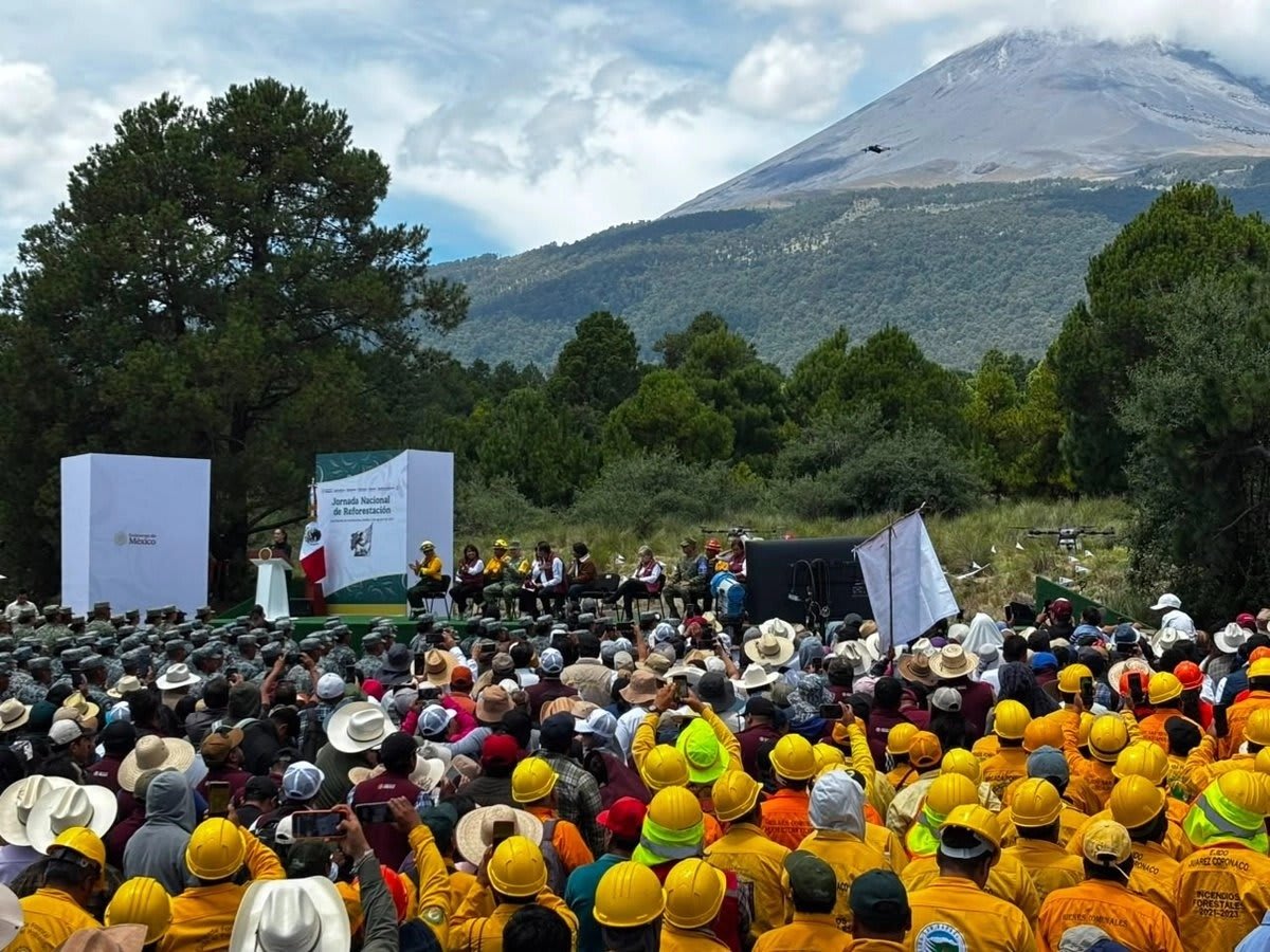 Mexico Plants 6.6 Million Trees in One Historic Day - Image 4