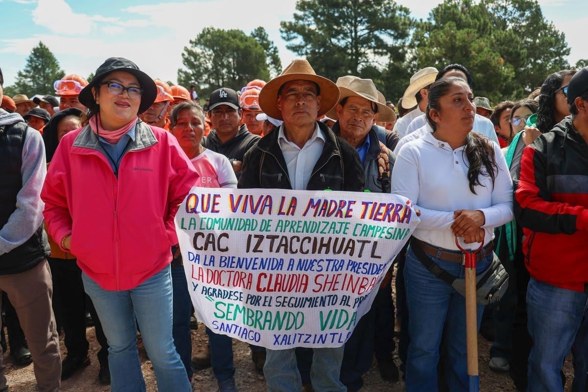 Mexico Plants 6.6 Million Trees in One Historic Day - Image 5