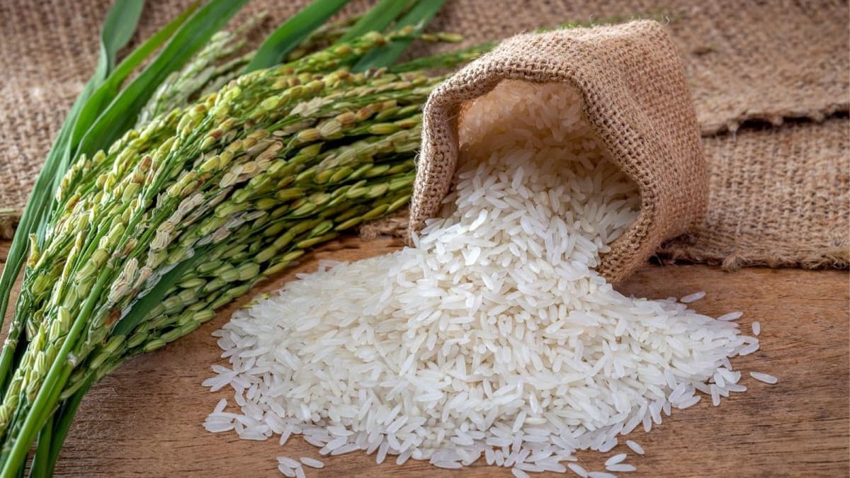 Ghana Food Plan to Create 2.6M Jobs by 2030