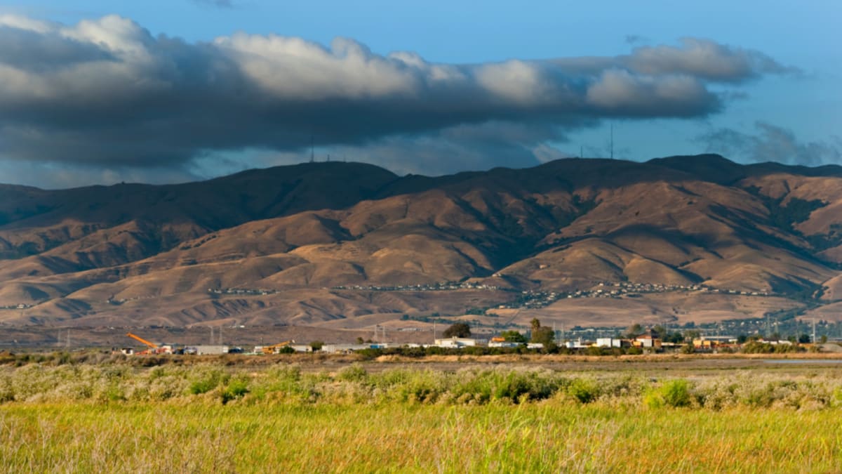 Teen Links Affordable Housing to Climate Action in Milpitas - Image 2