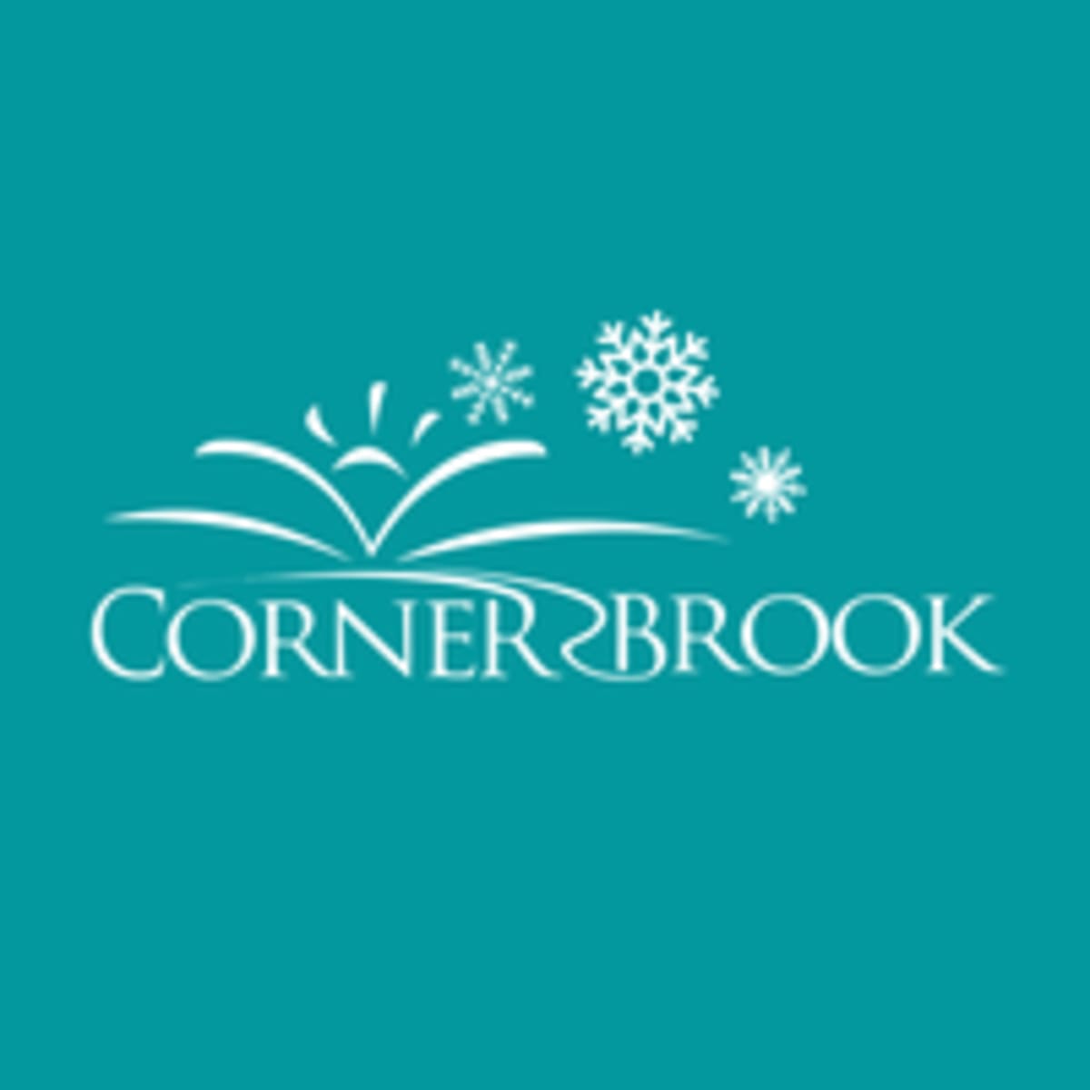 Newfoundland and Labrador Aims for Lowest Poverty by 2036 - Image 2