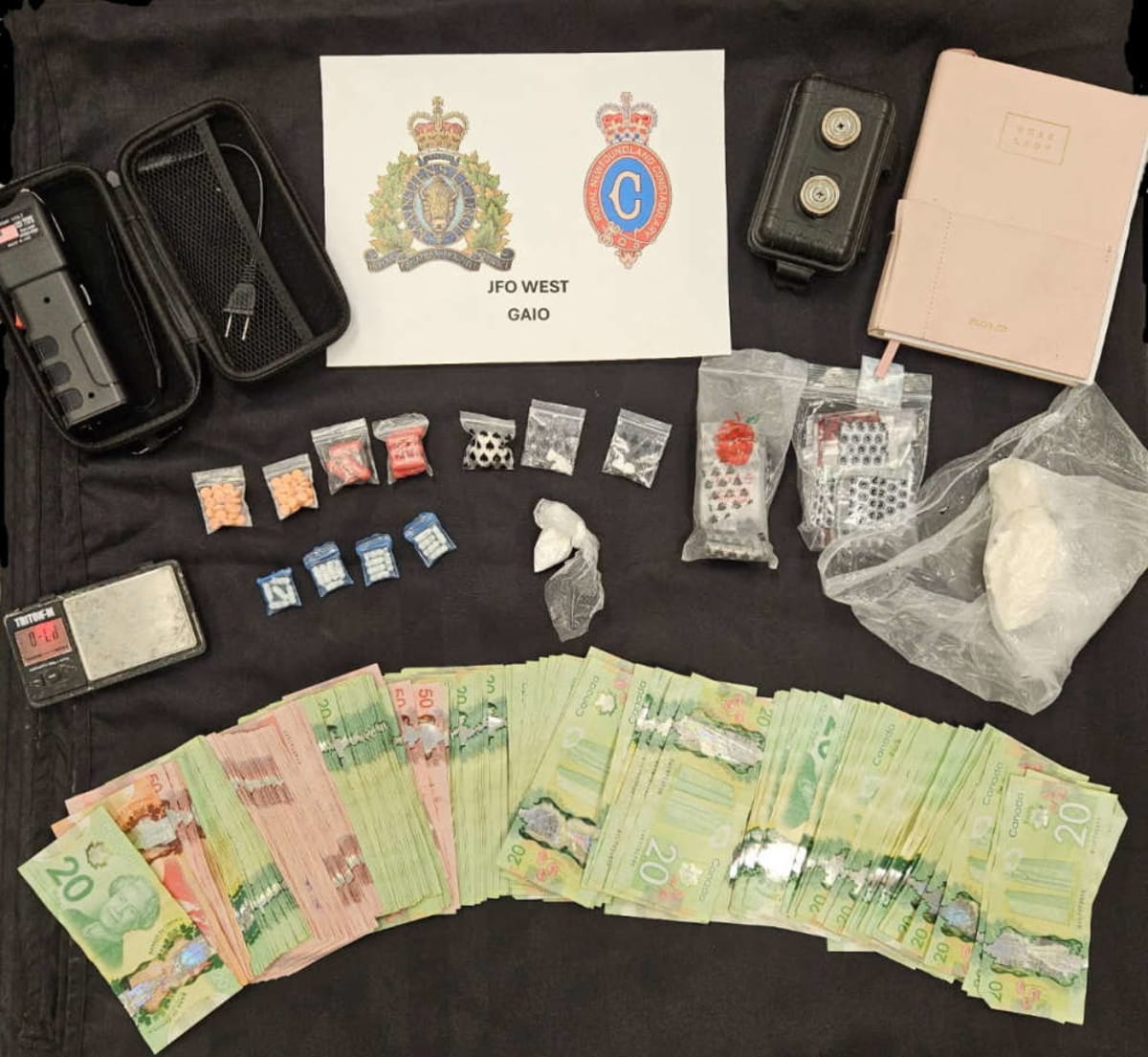 Newfoundland and Labrador Aims for Lowest Poverty by 2036 - Image 4