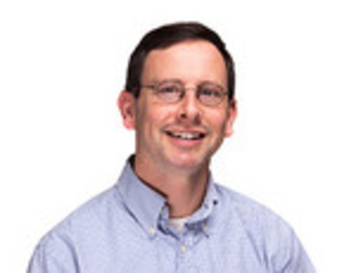 Forests Rebound After Helene With New Planting Jobs - Image 2