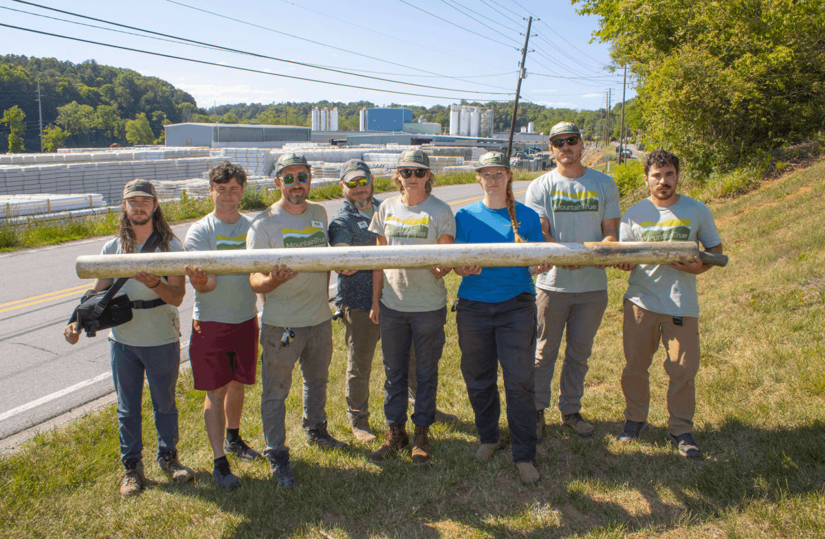 Native Bamboo Returns to North Carolina as Climate Fix - Image 5