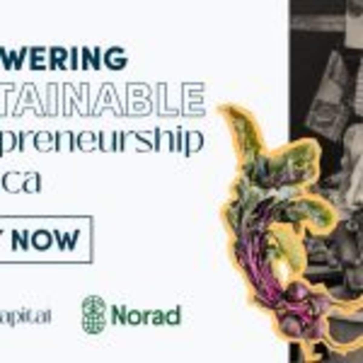 Tanzania Opens $100K Grants for Growing Startups - Image 4