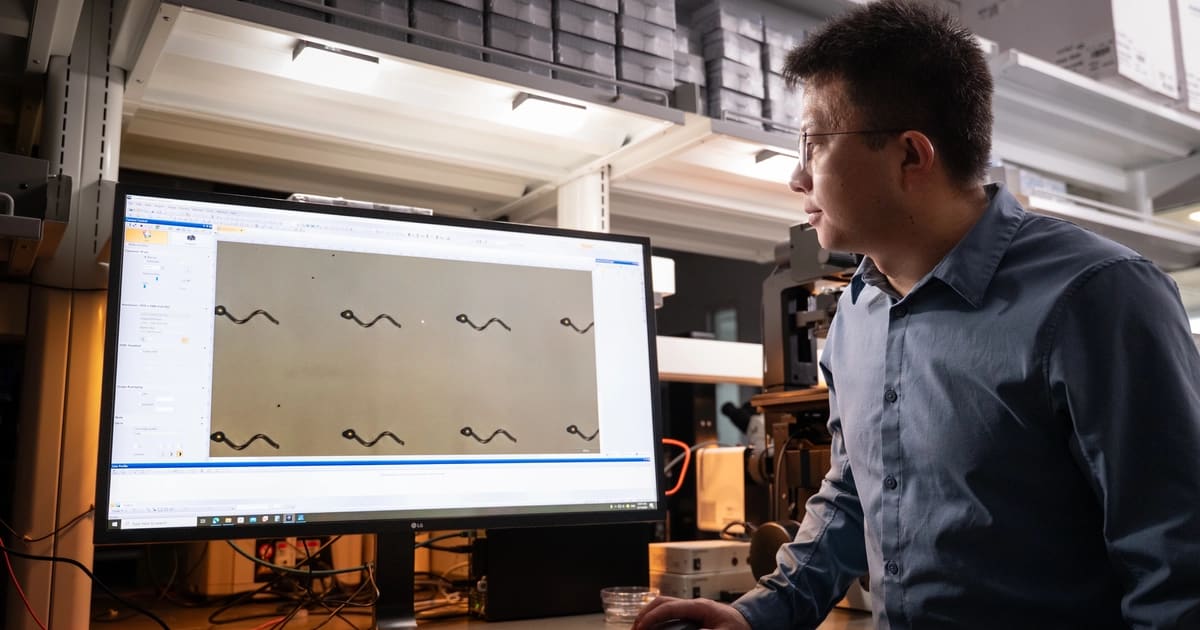 MSU's Tiny Cancer Robots Could Replace Surgery