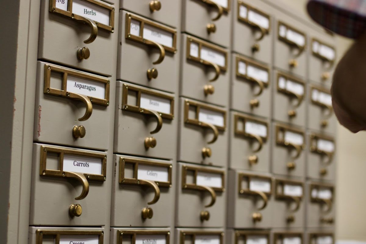 Holocaust Survivor George Rishfeld Shares His Story at MTSU - Image 2