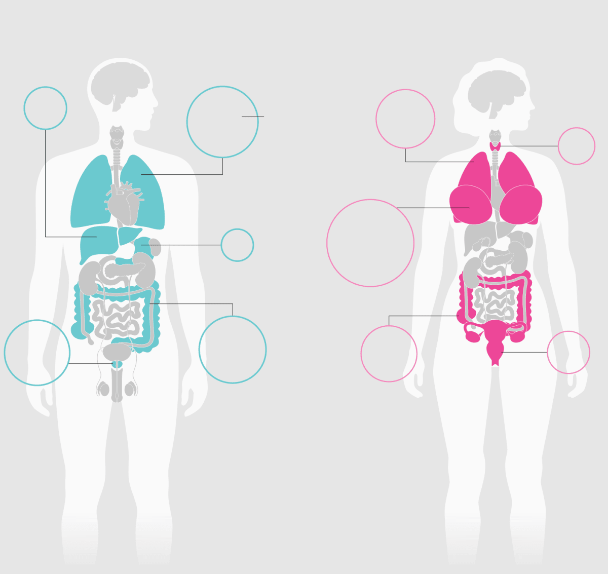 Hong Kong Beats Cancer Deaths Despite Rising Diagnoses - Image 4