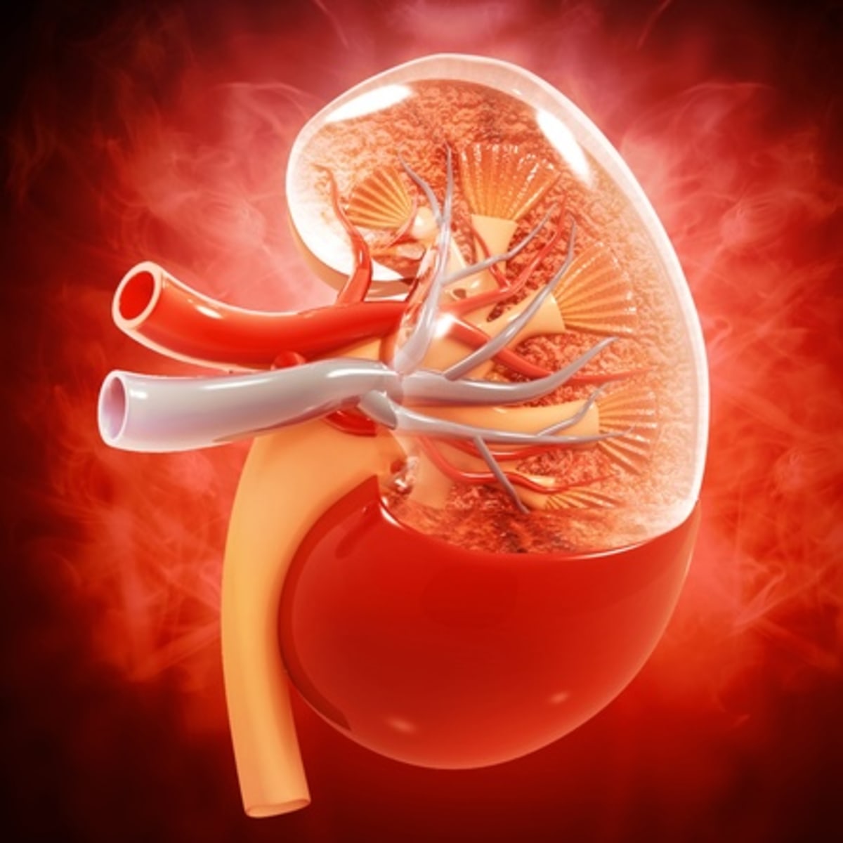 Medical researchers examining kidney disease treatment data in modern laboratory setting