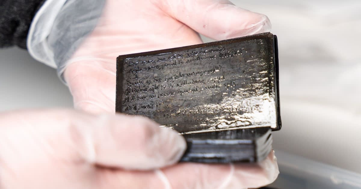 800-Year-Old Notebook Found Intact in Medieval Toilet