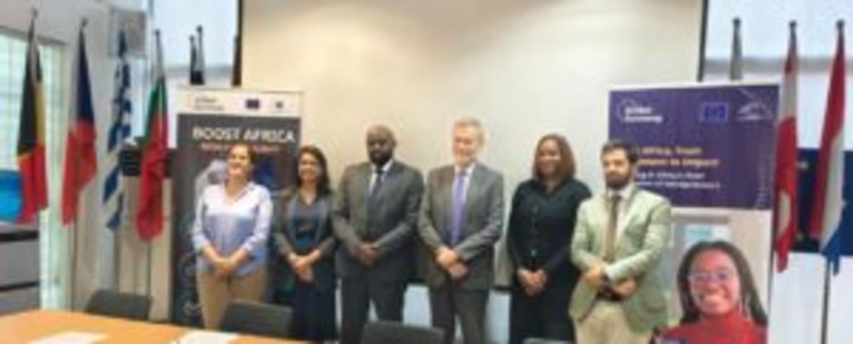 EU Program Creates 15,000 Jobs for African Entrepreneurs - Image 3