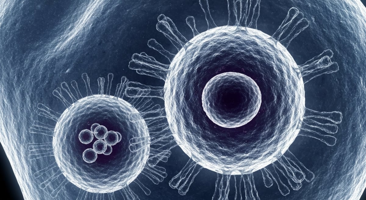 Herpes Virus Discovery May Transform Infection Treatments