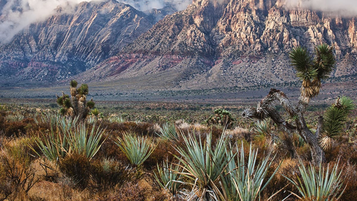 $2.4M in Tourism Grants Open to Tribal Nations