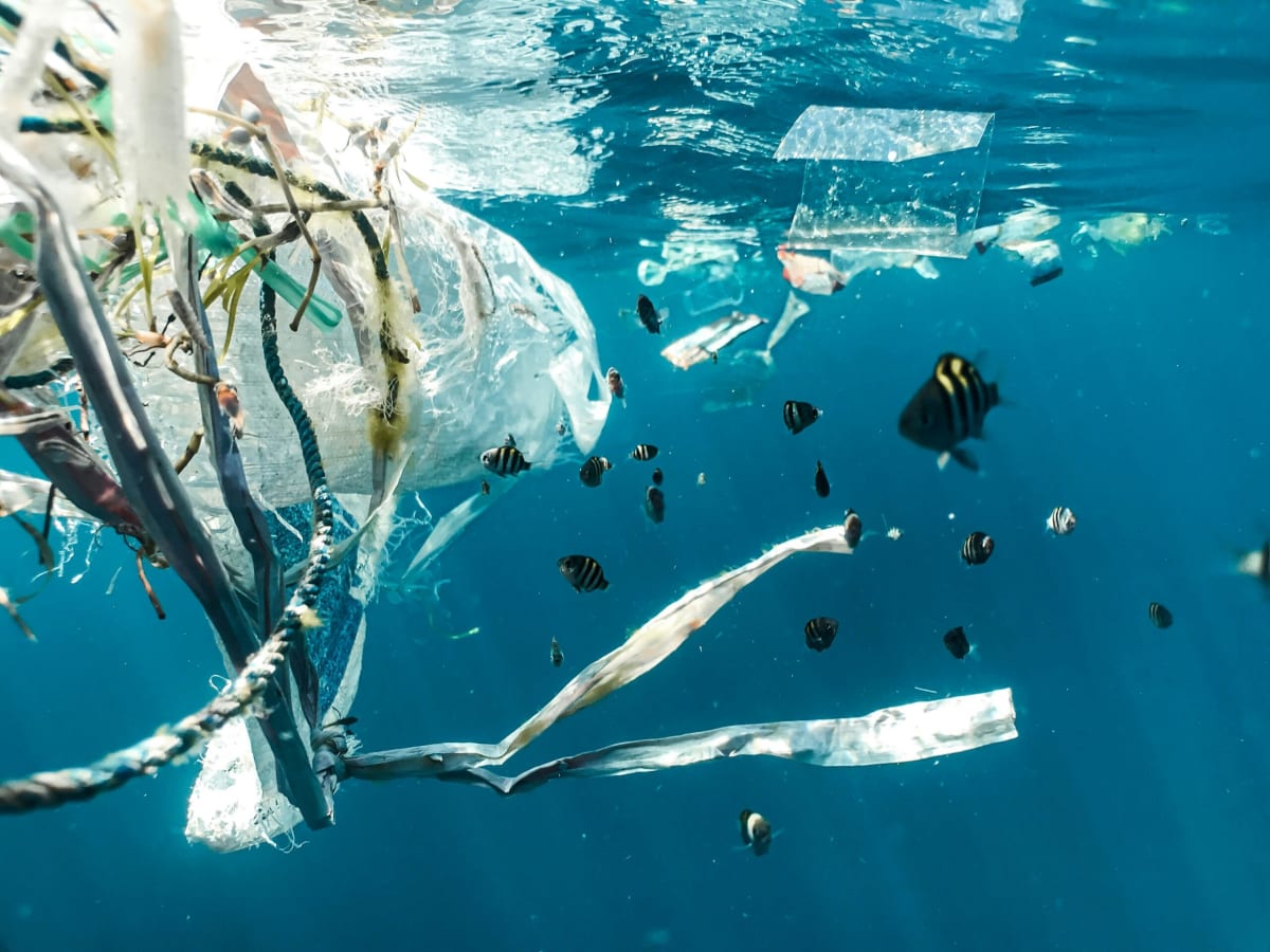 Autonomous robotic vessel collecting plastic debris from ocean surface using AI technology
