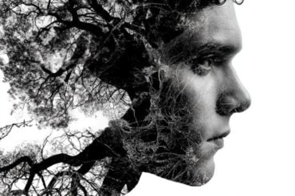 Yale Scientists Find Drug That Reverses Autism Mutations - Image 5