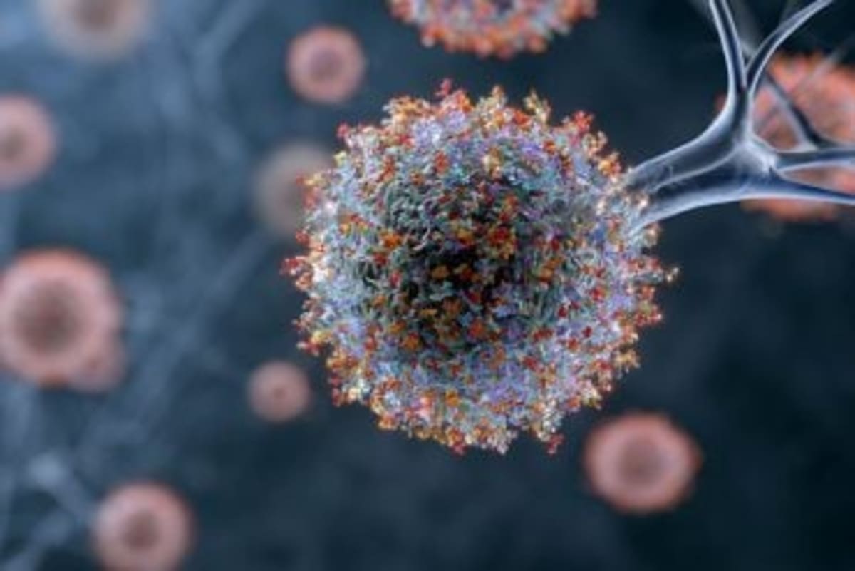 Scientists Unlock Blood-Brain Barrier for Brain Disease Cures - Image 3