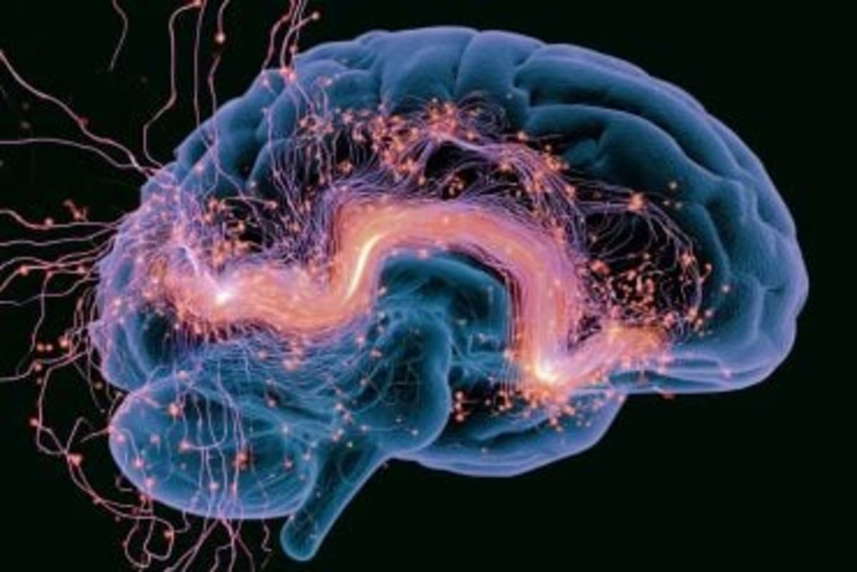 Weight-Loss Drug Eases Depression Through Gut Bacteria - Image 2