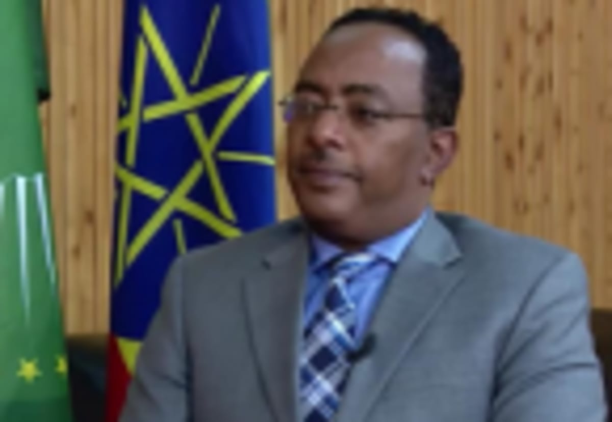 Ethiopia's Power Output Jumps 21% in One Year - Image 5