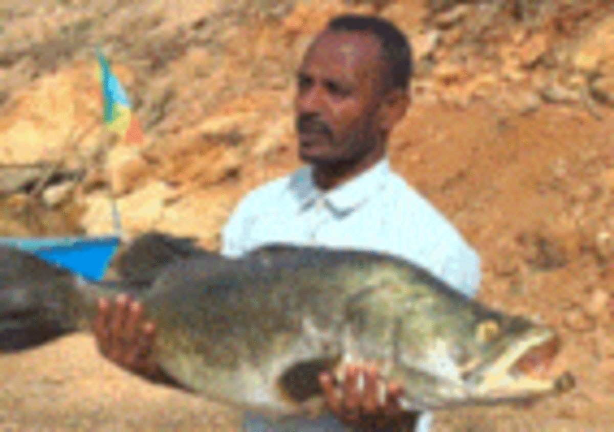 Ethiopia's Power Output Jumps 21% in One Year - Image 2