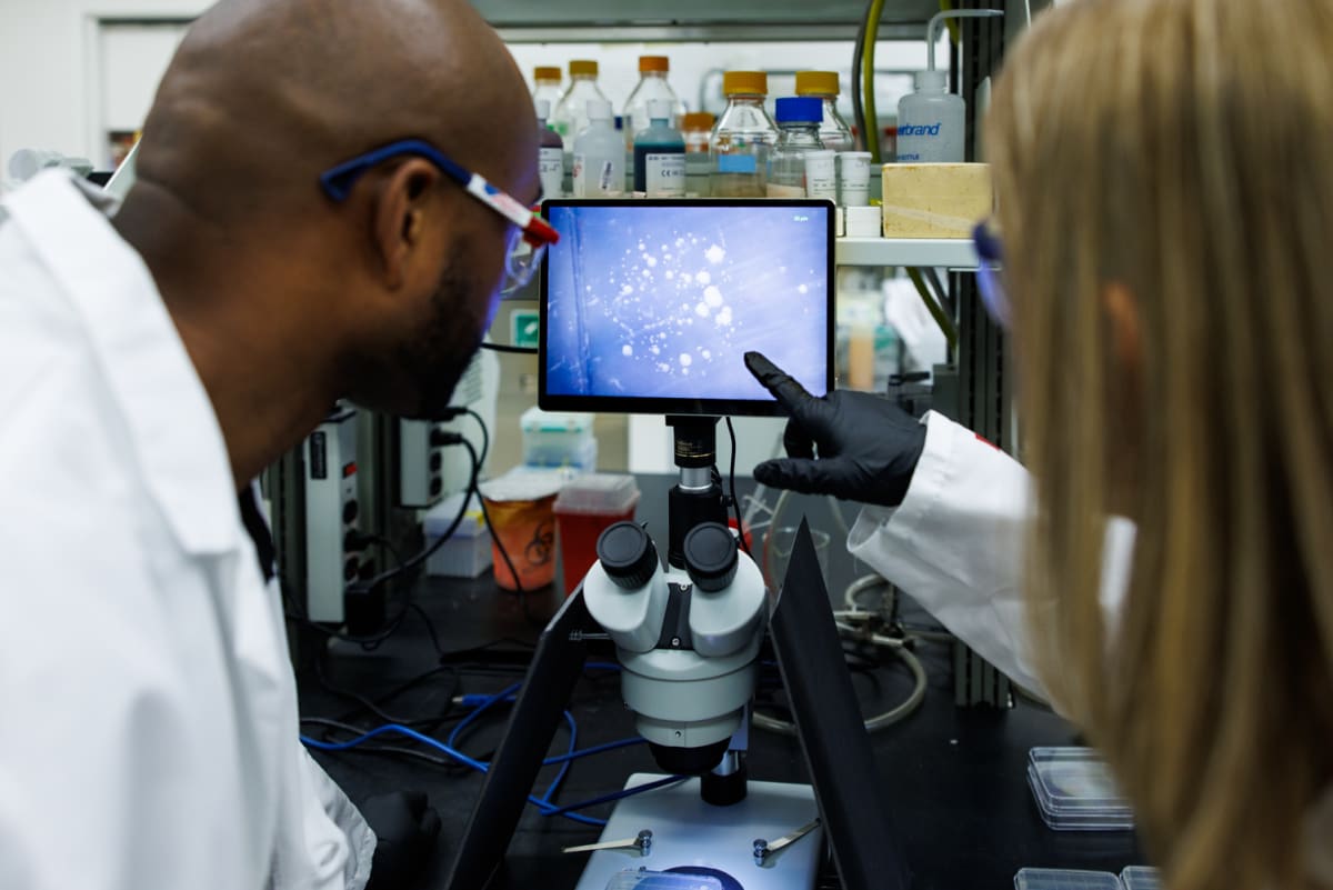 ASU Professor Shelley Haydel and student researcher examining tuberculosis bacteria samples with digital microscope